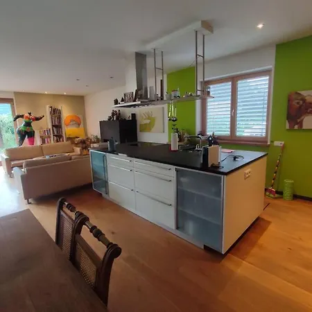 Loft Mit Kamin Und Whirlpool Lägenhet Lustenau