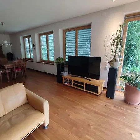Apartment Loft Mit Kamin Und Whirlpool Lustenau