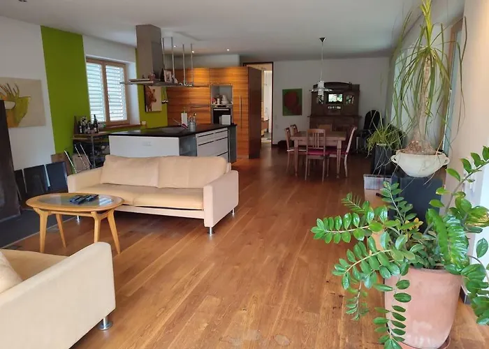 Loft Mit Kamin Und Whirlpool Apartment